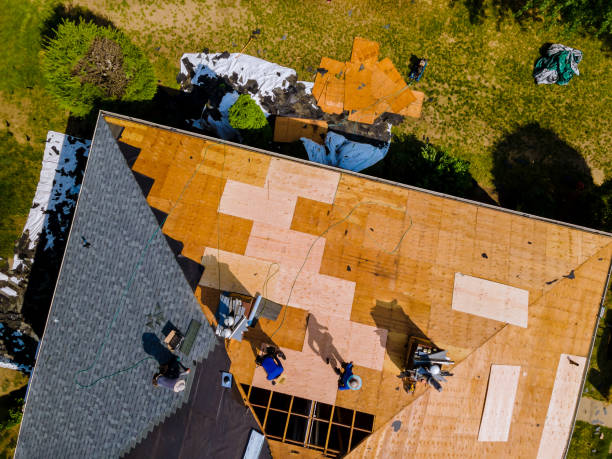 Best Flat Roof Repair Services  in Harker Heights, TX